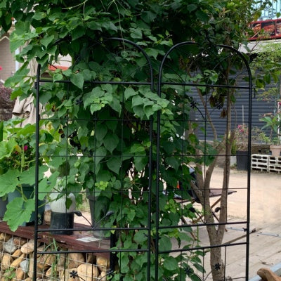 Metal Garden Trellis, 2 Pack Metal Trellis For Climbing Plants, Indoor Outdoor Plant Trellis For Potted Plants, House Plants, Climbing Vines, Flowers And Vegetables, Lawn Garden Fence Decor Screen