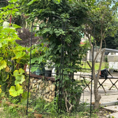 Metal Garden Trellis, 2 Pack Metal Trellis For Climbing Plants, Indoor Outdoor Plant Trellis For Potted Plants, House Plants, Climbing Vines, Flowers And Vegetables, Lawn Garden Fence Decor Screen