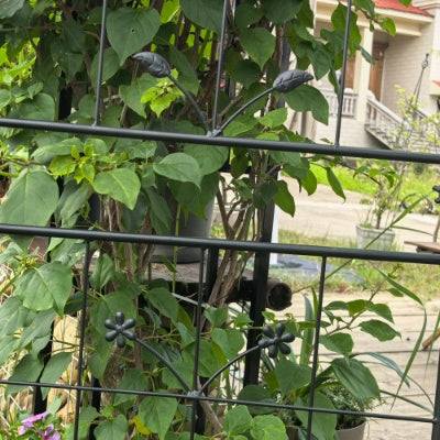 Metal Garden Trellis, 2 Pack Metal Trellis For Climbing Plants, Indoor Outdoor Plant Trellis For Potted Plants, House Plants, Climbing Vines, Flowers And Vegetables, Lawn Garden Fence Decor Screen