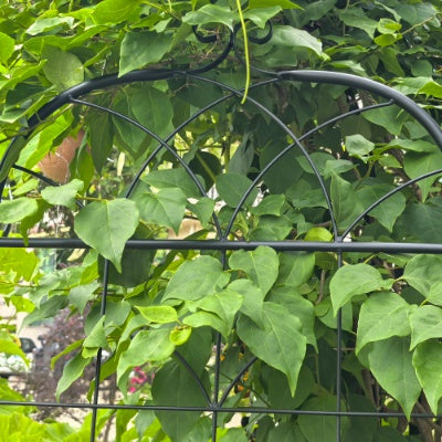 Metal Garden Trellis, 2 Pack Metal Trellis For Climbing Plants, Indoor Outdoor Plant Trellis For Potted Plants, House Plants, Climbing Vines, Flowers And Vegetables, Lawn Garden Fence Decor Screen